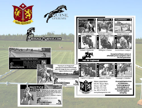 Dressage Arena branding and advertising material